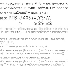 Коробка соединительная РТВ 403 2П/0